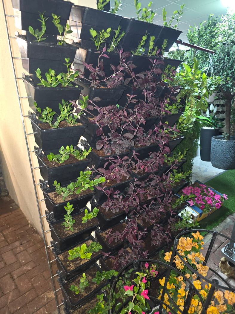 Trees, Plants & Flowers