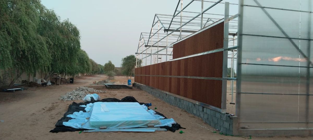 Greenhouse Exterior