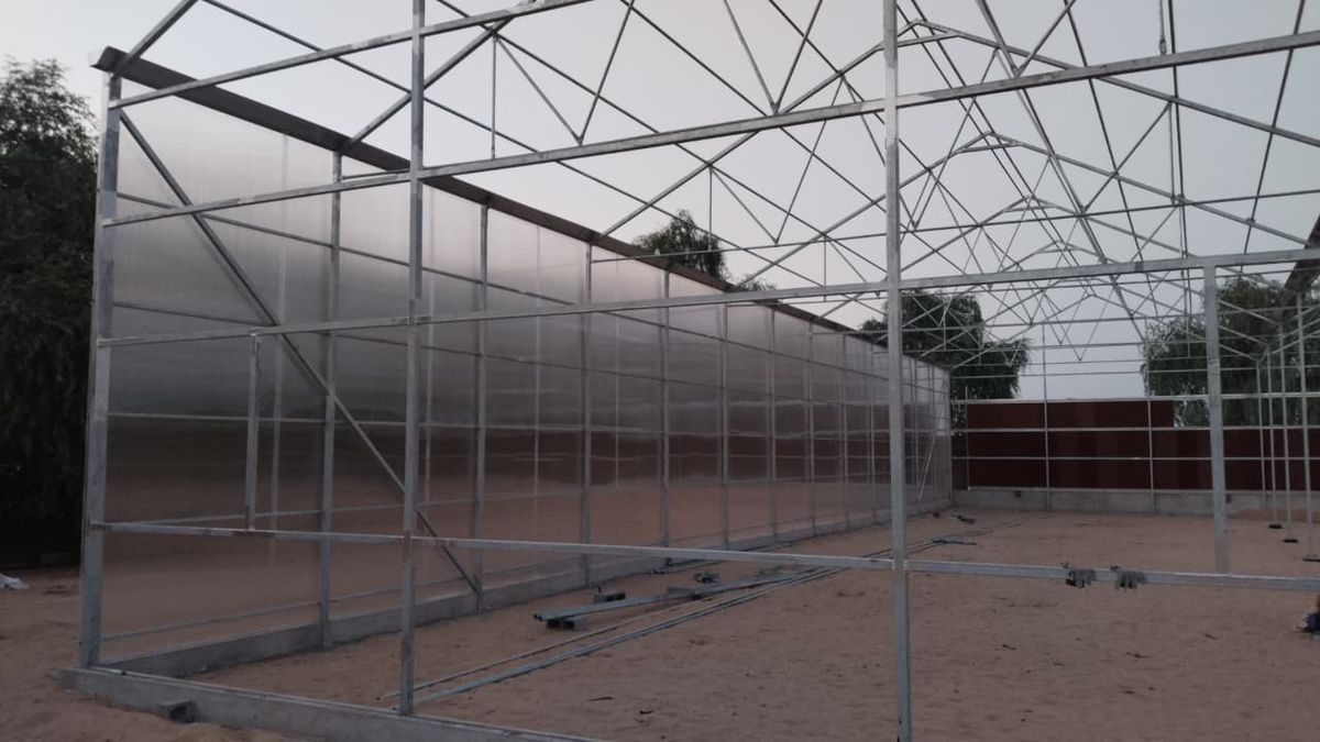 Greenhouse Project