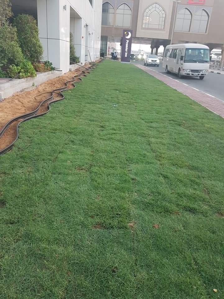 Lawn Installation