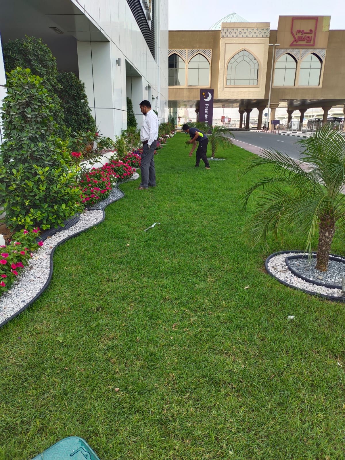 Turf Laying