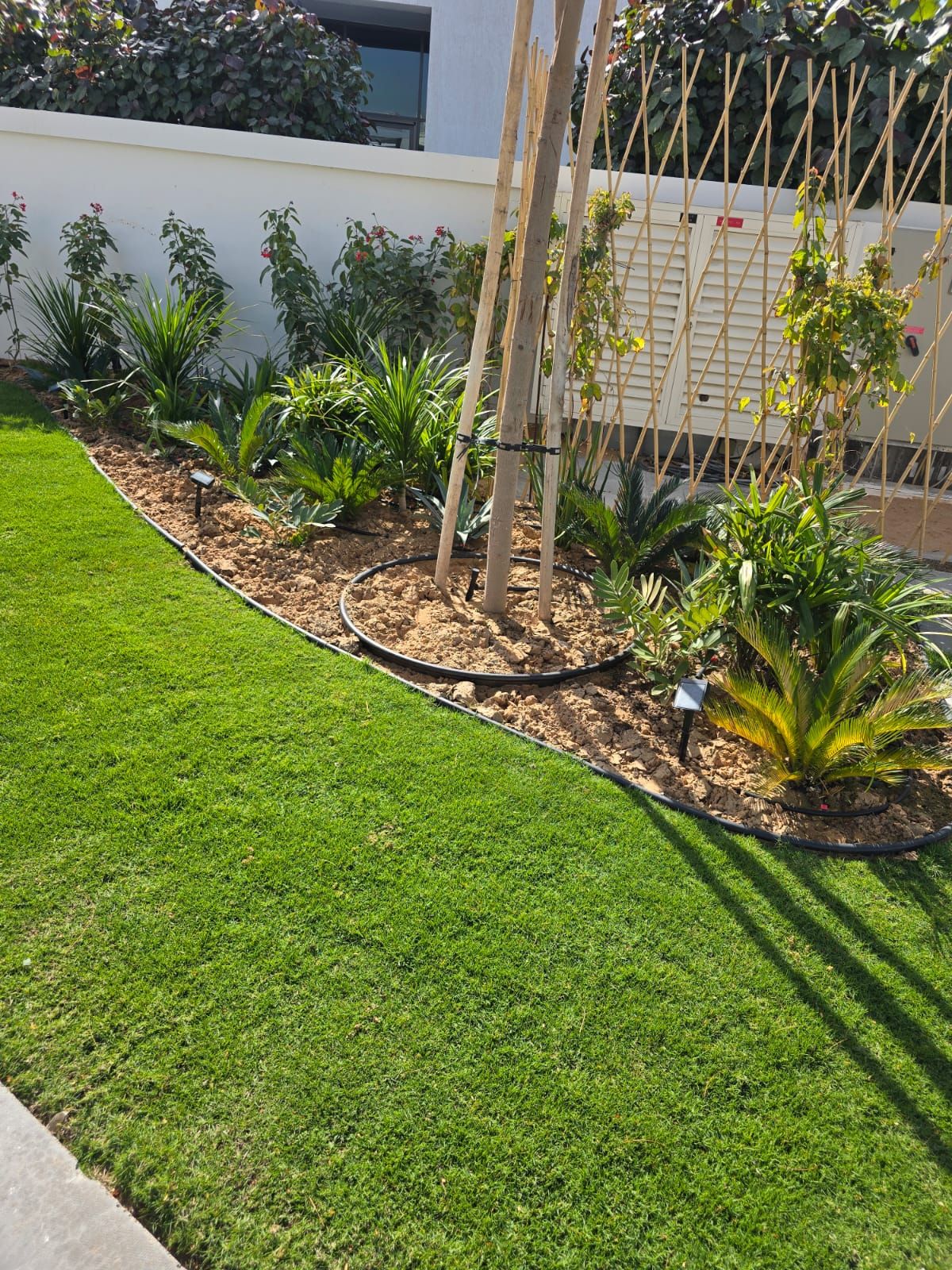 Garden Landscape